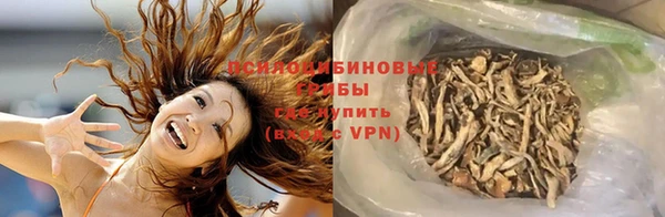 кокаин перу Богданович