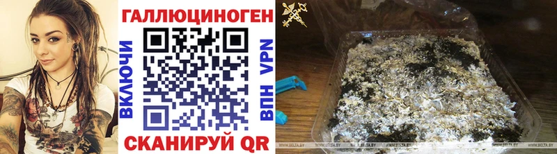 Галлюциногенные грибы Cubensis  наркотики  MEGA ССЫЛКА  Сретенск 